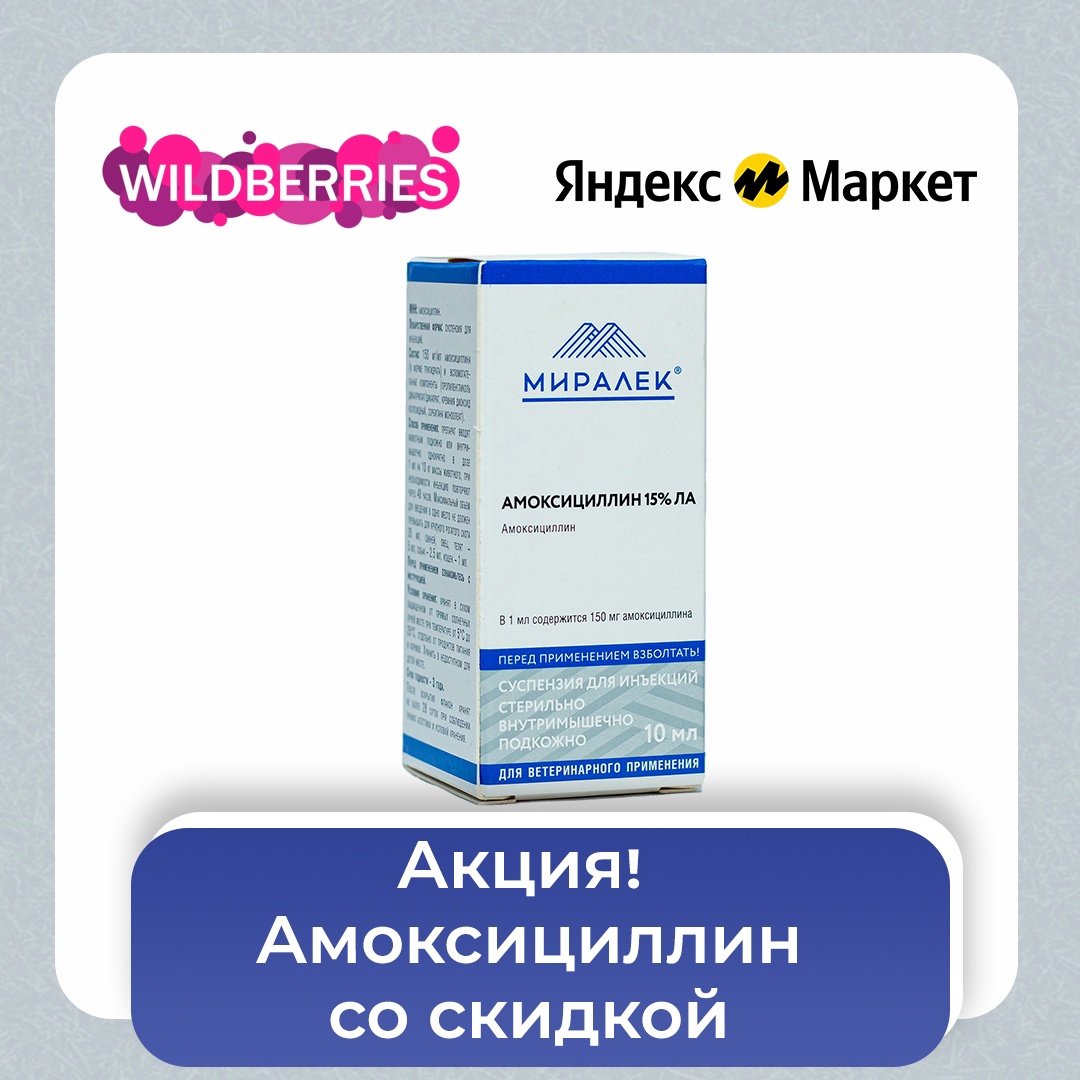 Новая акция на Яндекс Маркет и Wildberries!